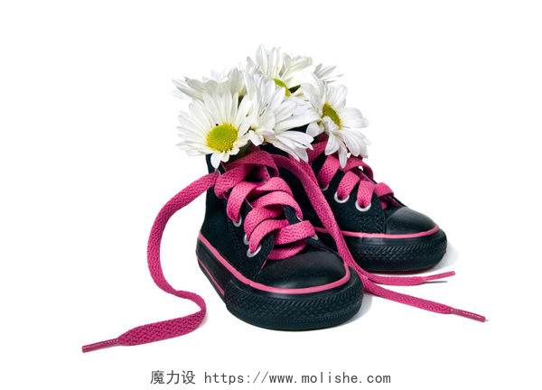 运动鞋里插满了雏菊花雏菊花束在运动鞋